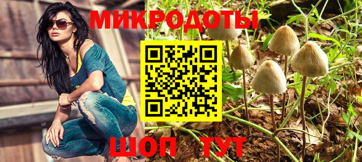 Галлюциногенные грибы Psilocybine cubensis Серов