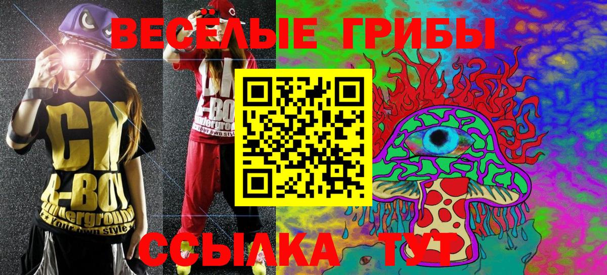 Псилоцибиновые грибы Magic Shrooms  Вход с VPN  Серов  Псилоцибиновые грибы Psilocybine cubensis 